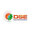 Dynamic Solar & Electric NW Corp
