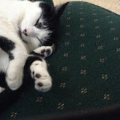 Callie Beesley's photo