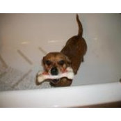 Jen Foley's photo