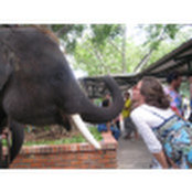 Rifka Schmukler's photo