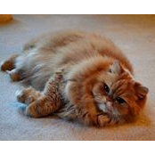 Beth Bernhard's photo