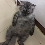 Foto de Eirol Enna
