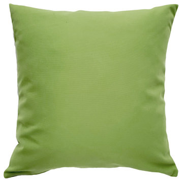 Sunbrella Ginko Green 20x20 Outdoor Pillow