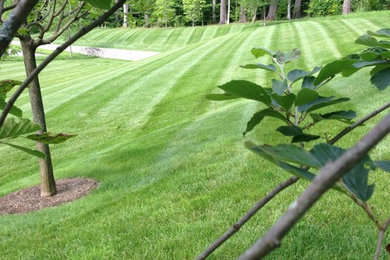 Photo of a landscaping in Boston.