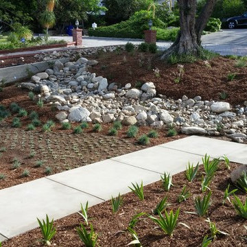 La Crescenta River Bed Project