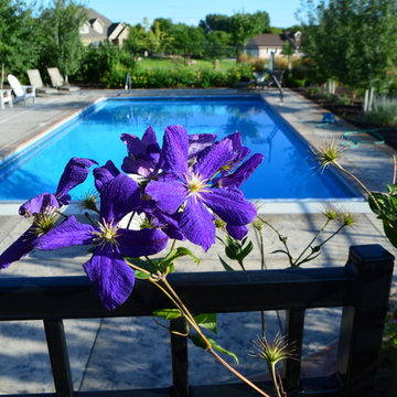 Comfortable backyard retreat with fire pit, paver patio and pool design