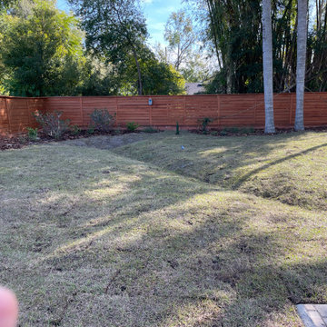 Landscape Design and Drainage Project in Orlando Fl