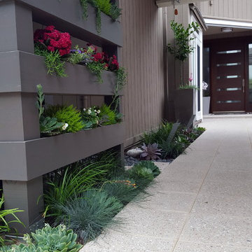 Courtyard Garden