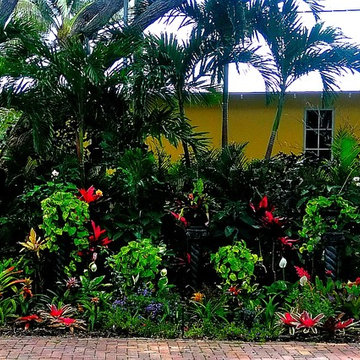 Vero Beach Landscape
