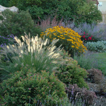 Landscape Ideas