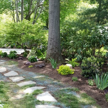 Backyard Designs