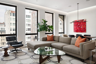 Living room - contemporary living room idea in New York