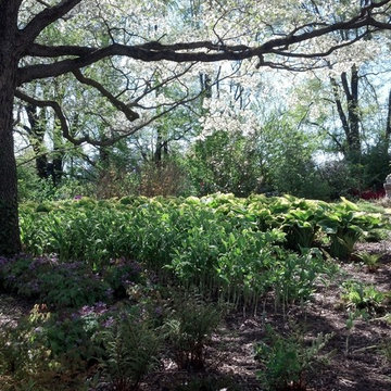 Paxson Hill Farm Nursery