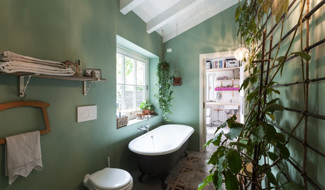 Tenere le Piante in Bagno Fa Bene? Sì (a Te e Anche alle Piante)