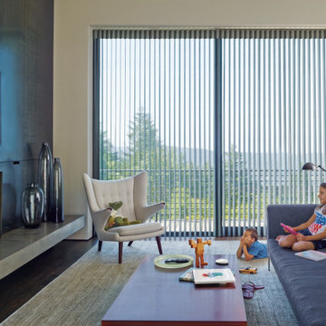 Hunter Douglas Window Coverings