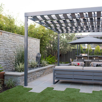 Intimate contemporary Garden