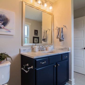 Shadow Storm Quartzite Bathroom Countertops