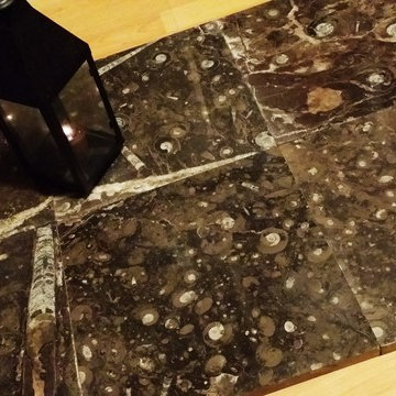 Ancient Seabed Natural Fossil Stone Collection Dark Brown (Chocolat) Tiles