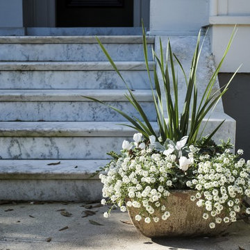 Garden District, New Orleans