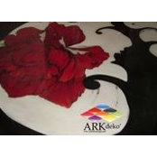 Cristina Schachay's photo