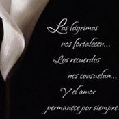 Mary Amor's photo