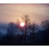 Foto von Betsy VanDyke