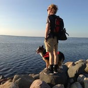 Troels Laursen's photo