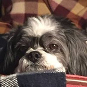 Barbara Mellinger's photo