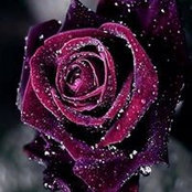 Franziska Graban's photo