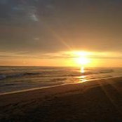 Megan Carlson's photo
