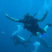 Yossi Cohen's photo