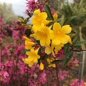 Susan Kessler's photo