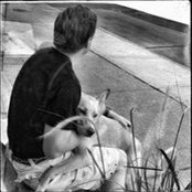 Steve Wilson's photo