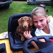 Melissa Brown Reed's photo