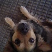 Ioana Junquera's photo