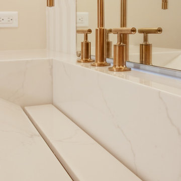 Park Ridge Renovation