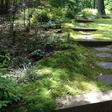 Moss Hill House Landscape