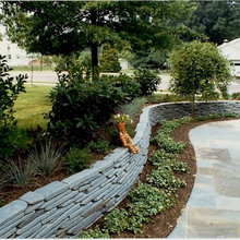 Front Lawn