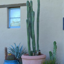 Garden Patio