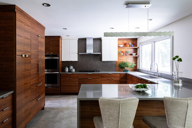 Kitchen - contemporary kitchen idea in Other