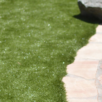 Phoenix Backyard for Rescue Corgis