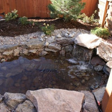 Backyard / Lanai