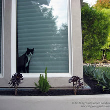 Patio Ideas