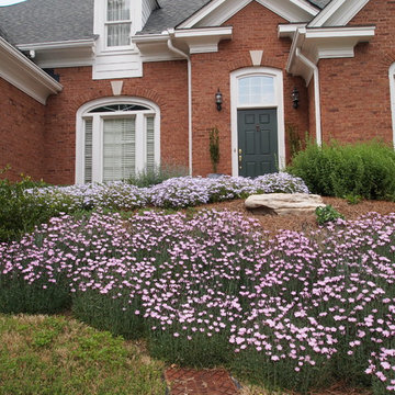 Fragrant and colorful spring perennial ground covers