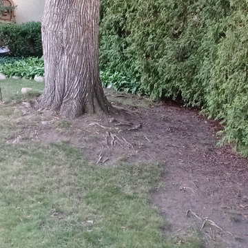 Drainage Correction & Landscape Renovation – South Minneapolis
