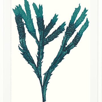 Vivid Seaweed