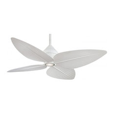 50 Most Popular Tropical Ceiling Fans For 2020 Houzz