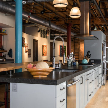 Printers Row Loft Interior Renovation