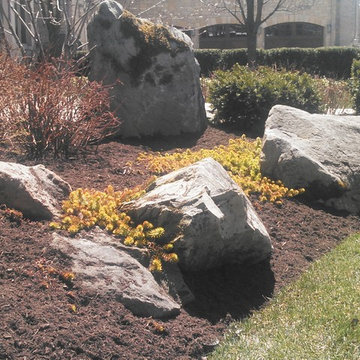 Boulder Placement
