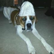 Erin Neath's photo